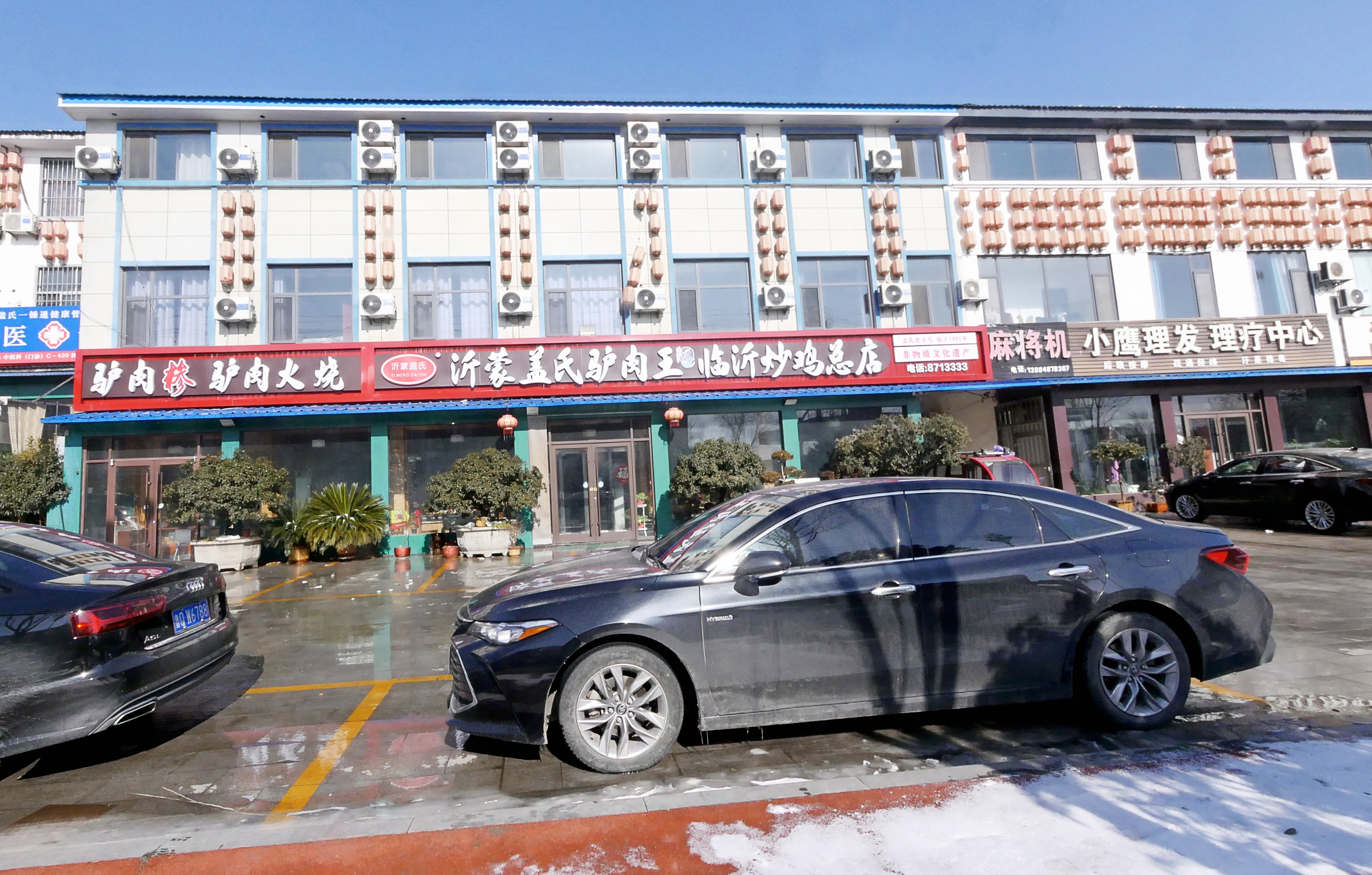 中医铸魂护民生 大爱扬帆启新程