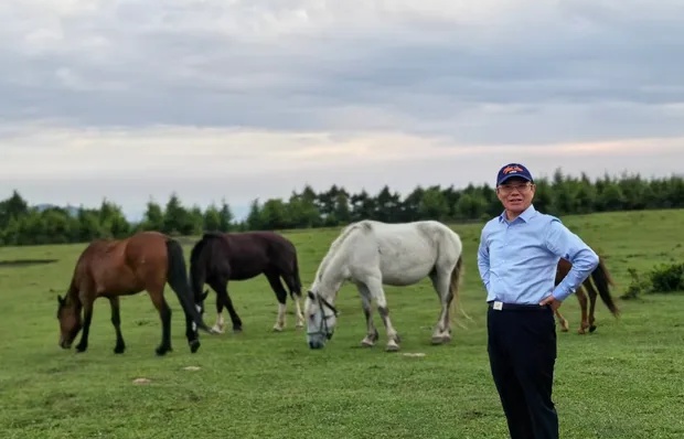 马年祥瑞 幸福安康