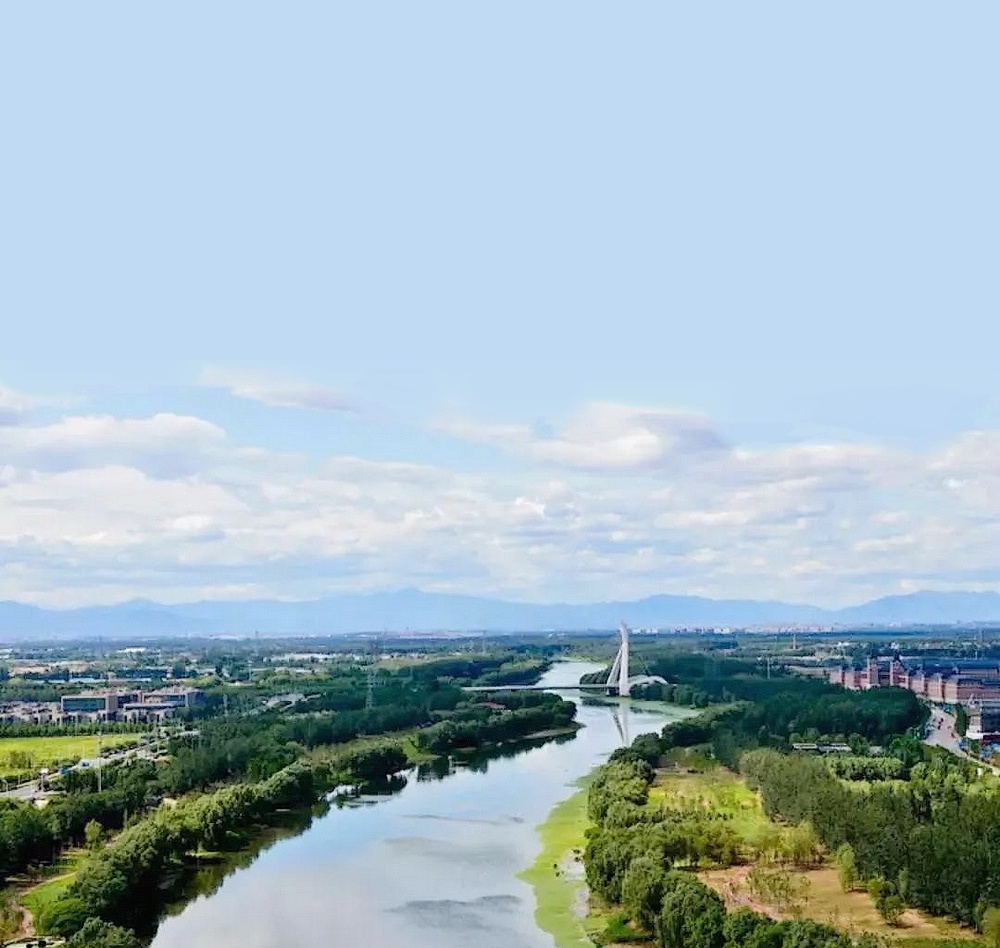 《赞费县温河印社成立 40周年》