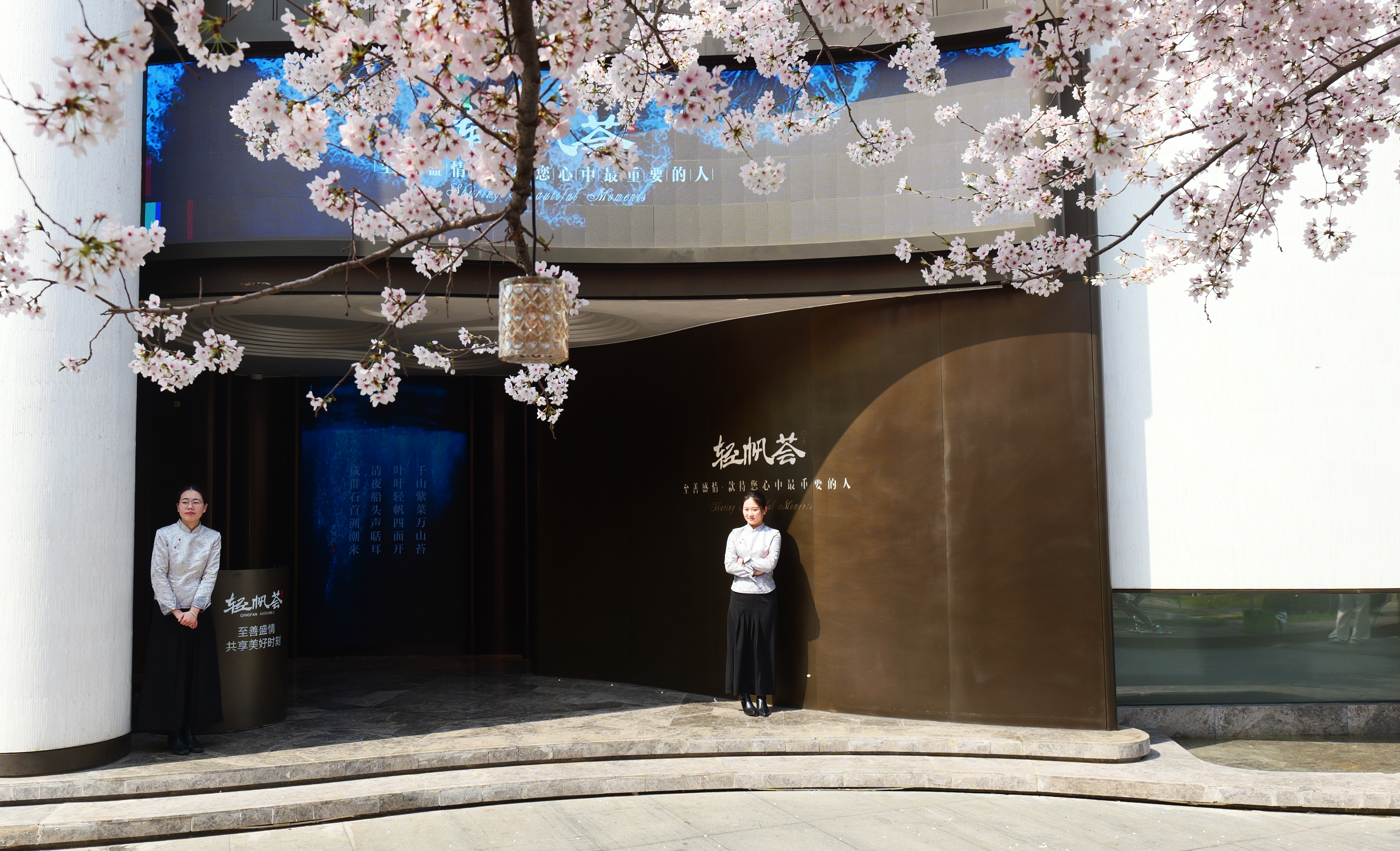 千里樱缘 繁花雅集醉春风